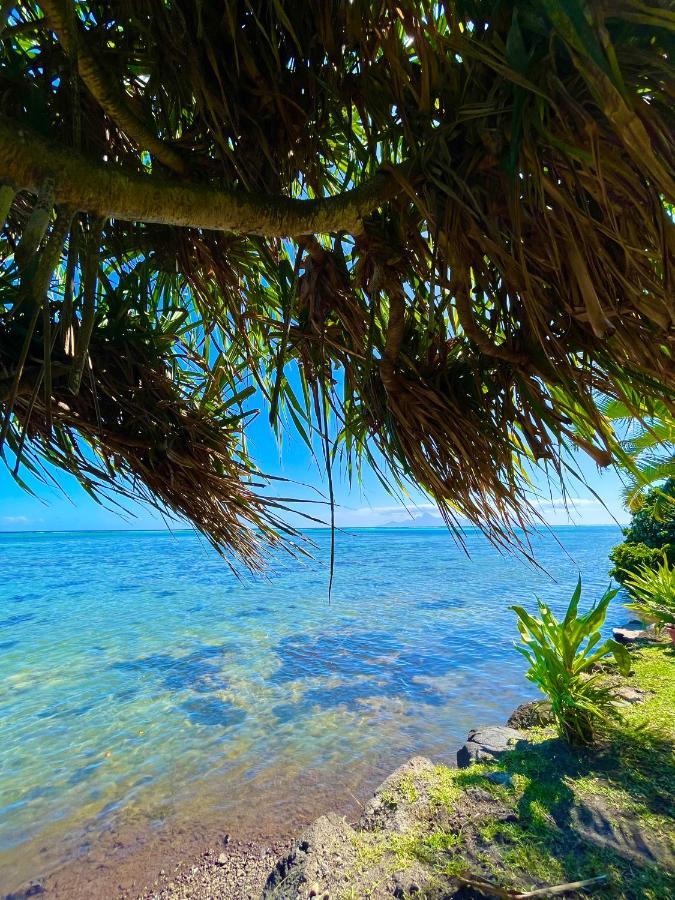 O'Coco Bungalow- Breathtaking Waterfront Views, Endless Memories Paea Exteriér fotografie