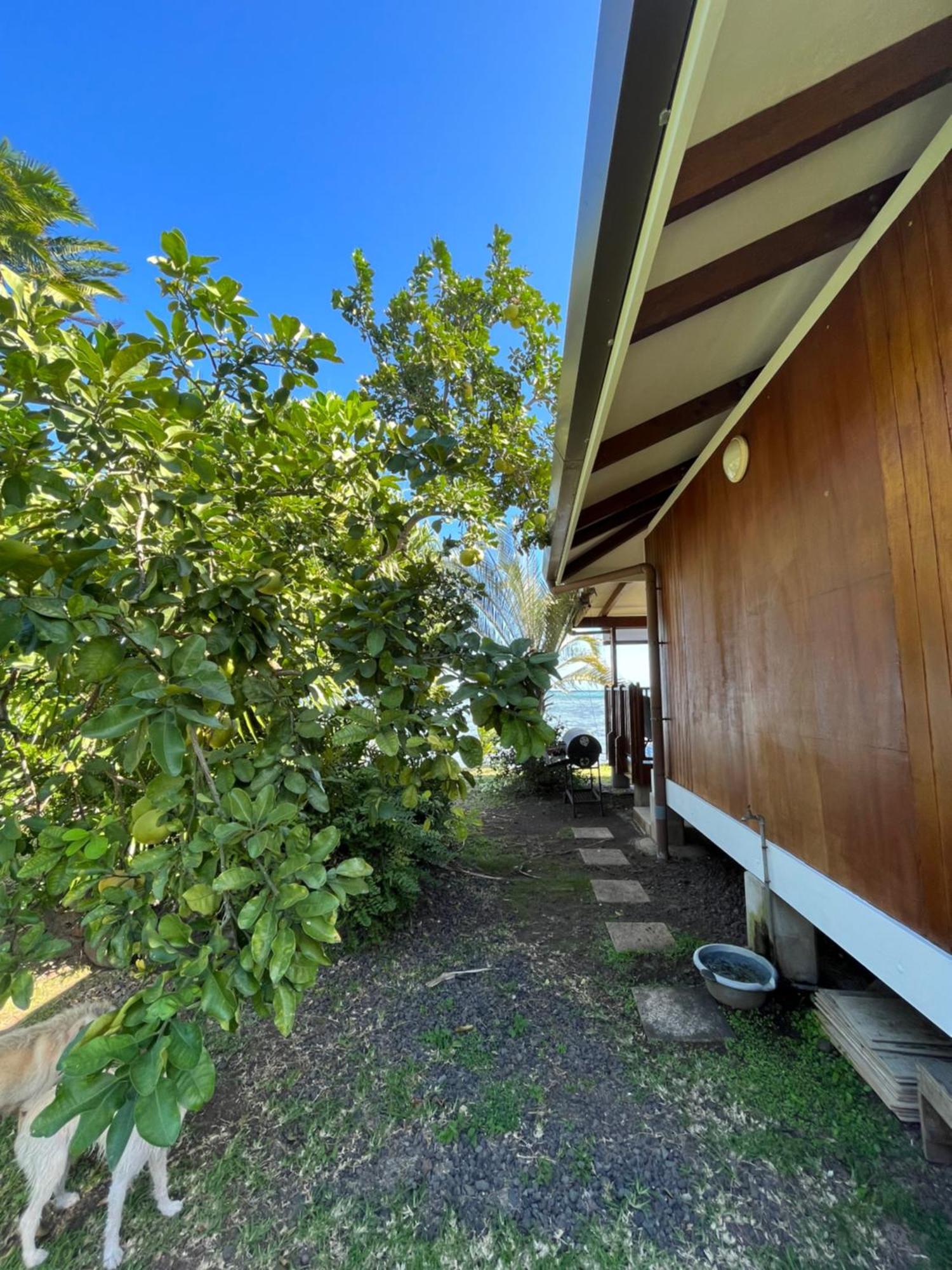 O'Coco Bungalow- Breathtaking Waterfront Views, Endless Memories Paea Exteriér fotografie