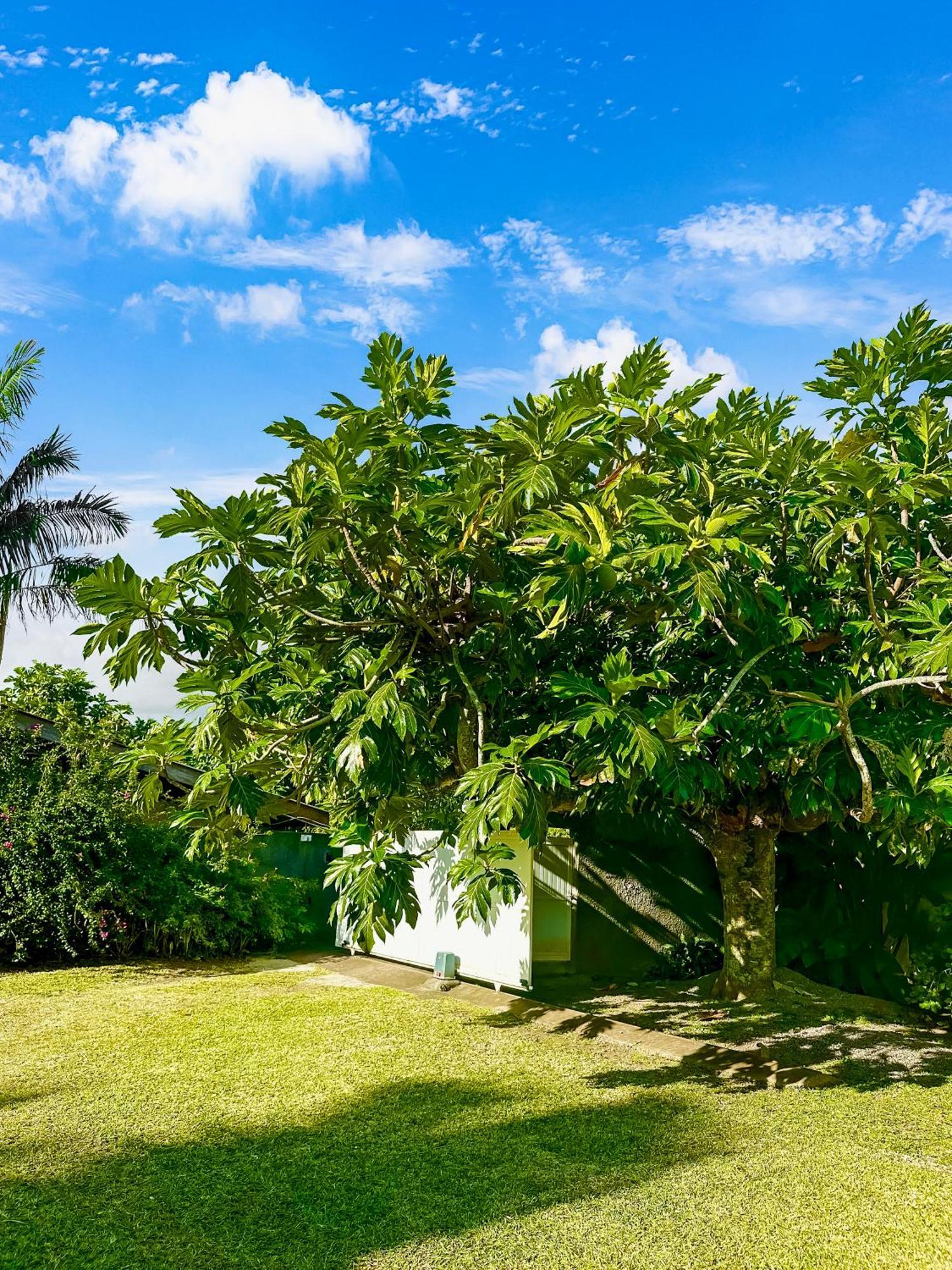 O'Coco Bungalow- Breathtaking Waterfront Views, Endless Memories Paea Exteriér fotografie